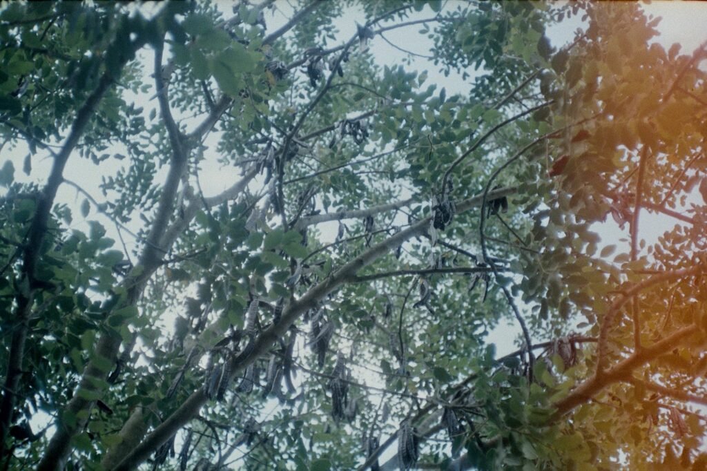 Fotografía de Aina Martos Mas · 2