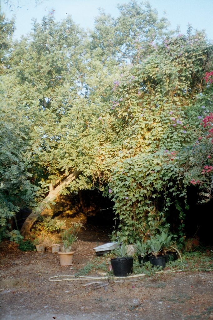 Fotografía de Aina Martos Mas · 10