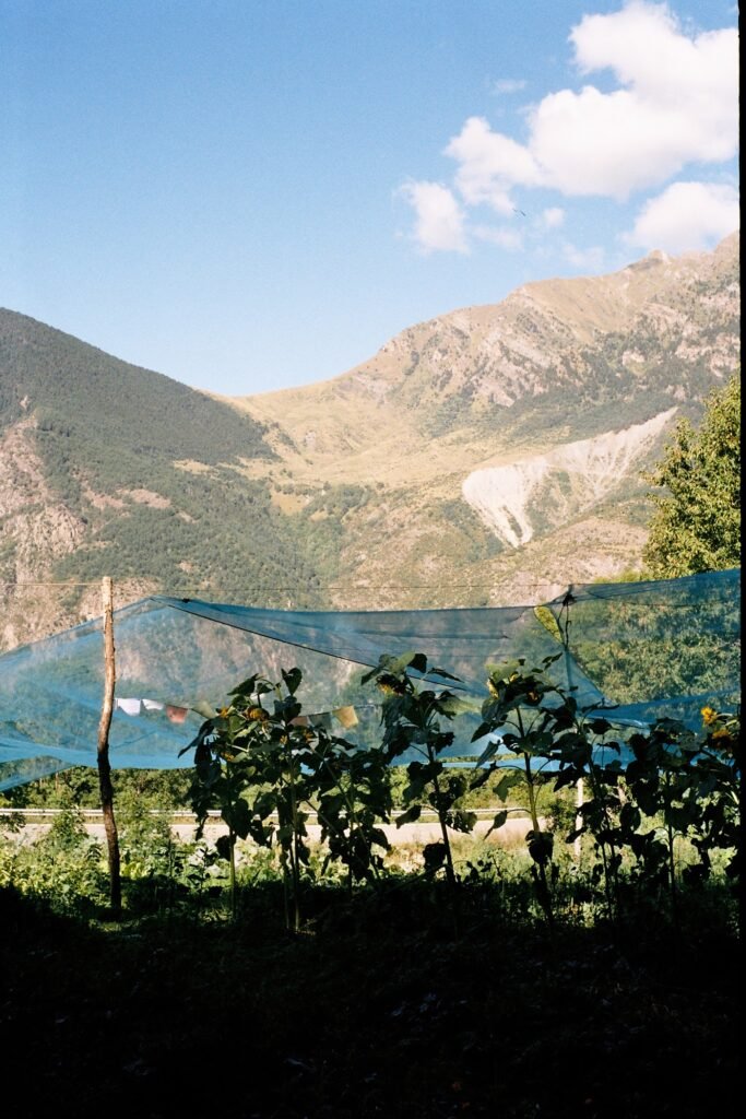 Fotografía de Aina Martos Mas · 13