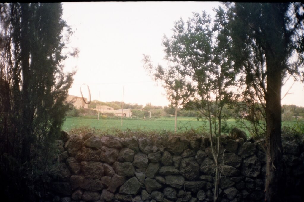 Fotografía de Aina Martos Mas · 31