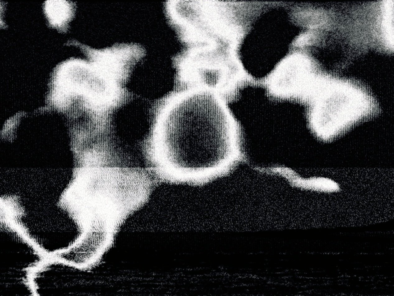 Fotograma 5 de Tota s'Alegria (2024) · Dirección & Montaje: Aina Martos Mas